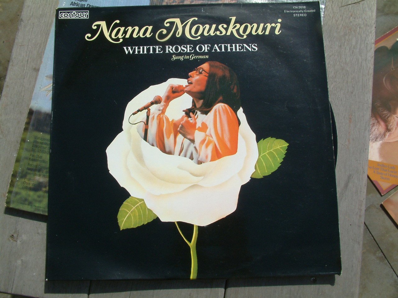 100 langspeelplaten  55 euro