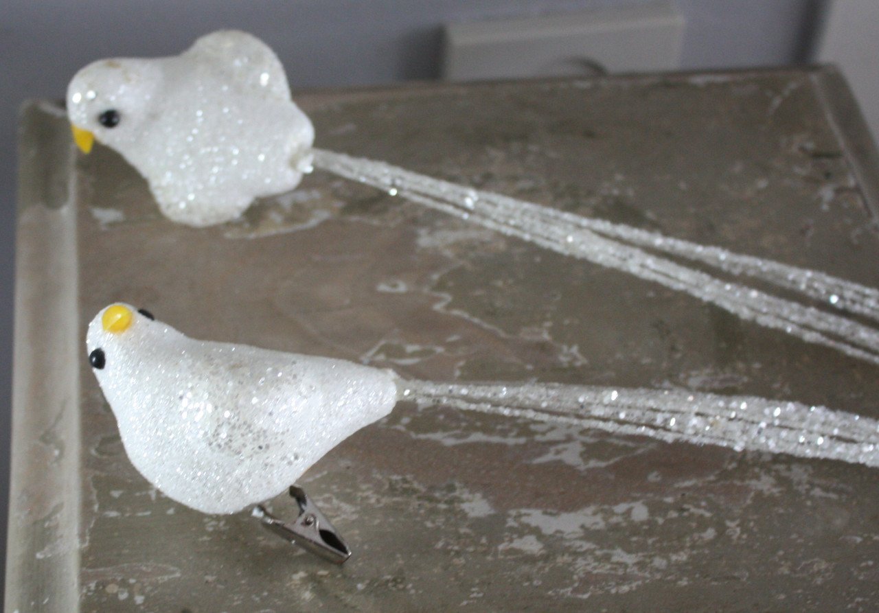 Set va 2 vogels op knijper wit met glitter