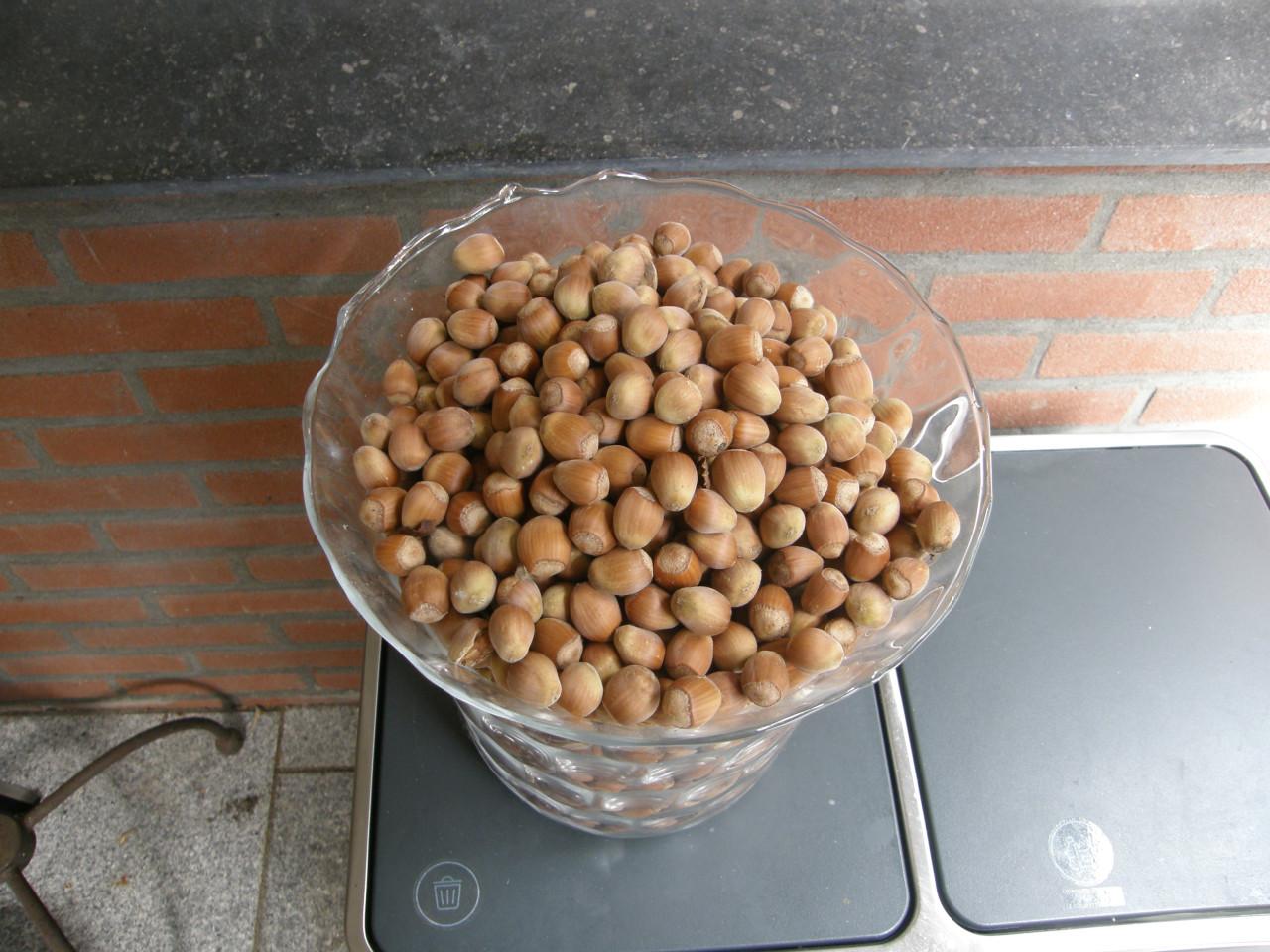 Verse biologische hazelnoten 2026