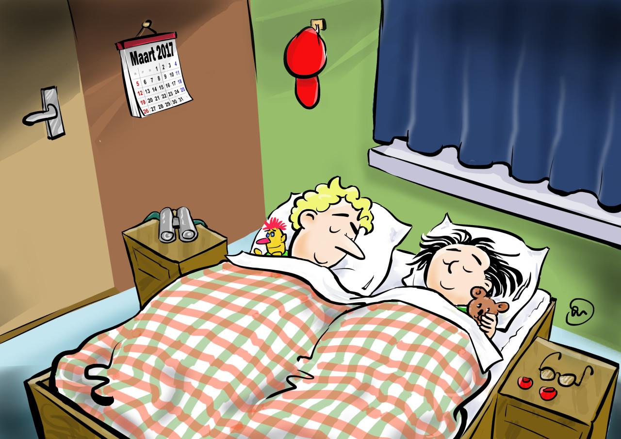 Illustratie of cartoon gezocht?