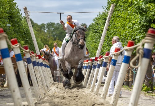 Ringsteken en Mega Rommelroute Zaterdag 6 Sept. Wemeldinge