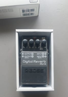 TE KOOP: BOSS RV-5 DIGITALE REVERB 75 euro