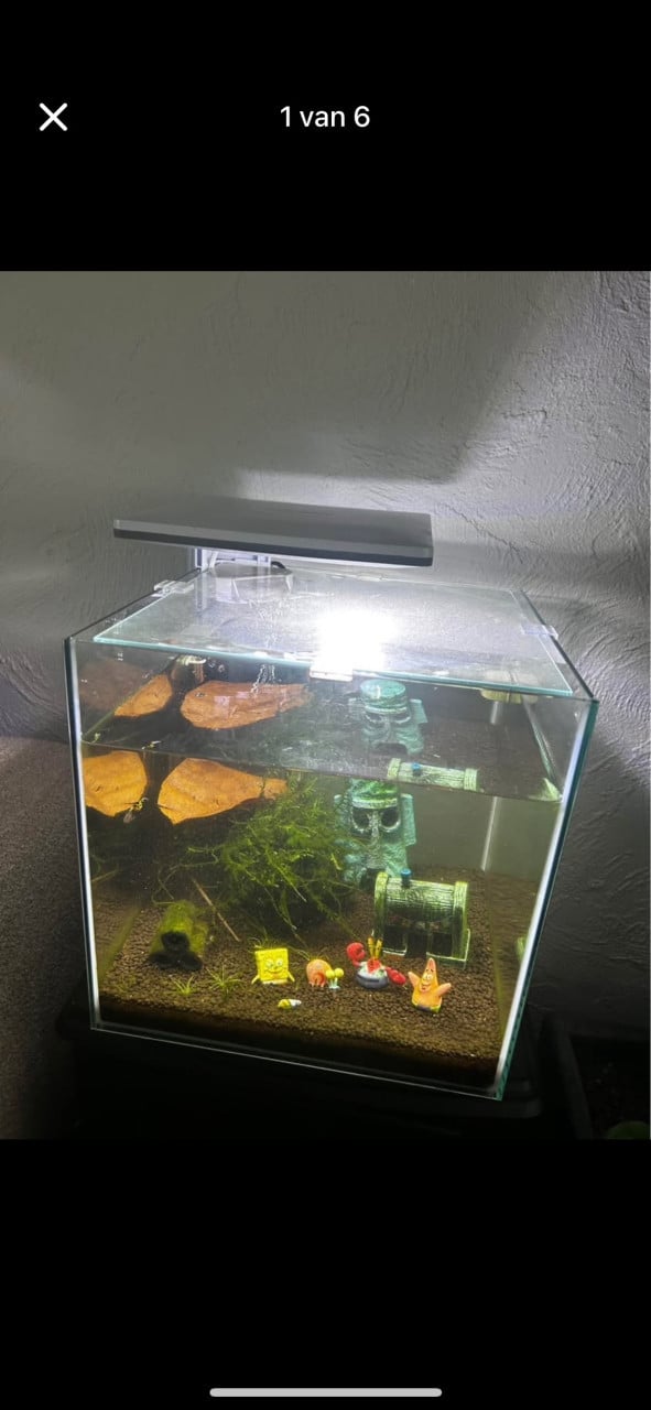 Aquarium