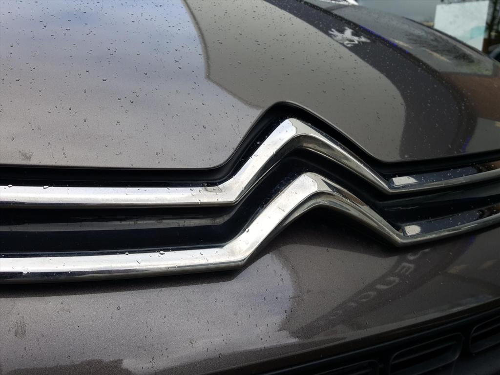 Citroen Grand C4 Picasso 130pk s&s business 7persoons trekhaak | apple carp