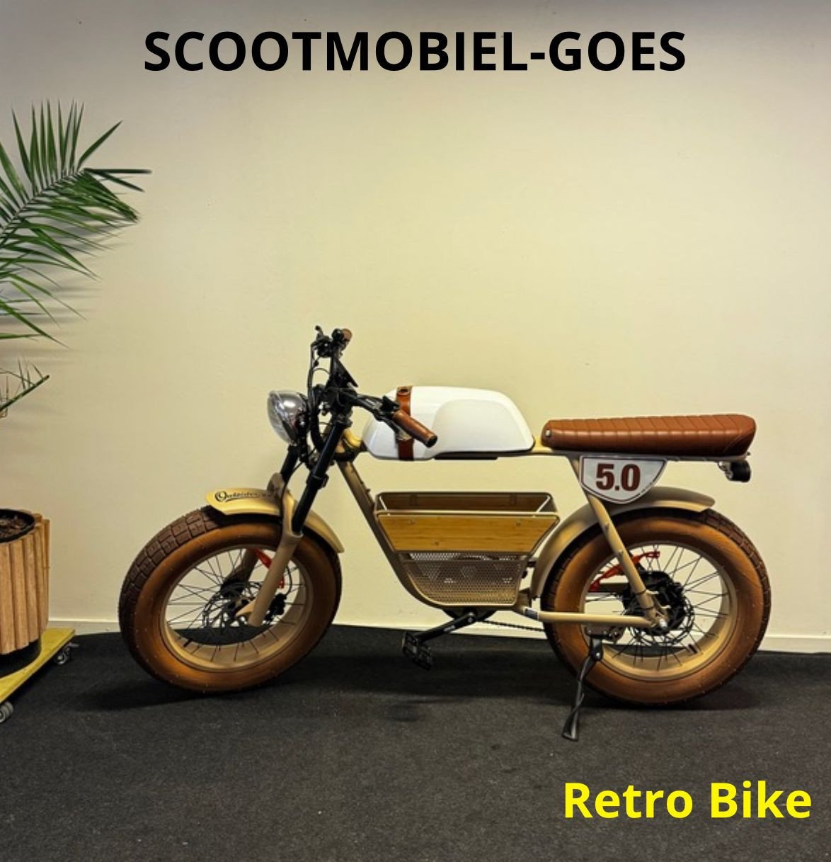 Bent u op zoek naar een e- chopper en retro bike of een e- bike?