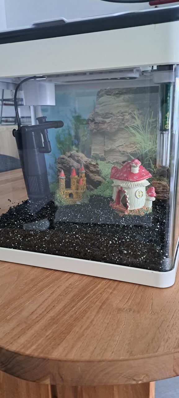 Aquarium