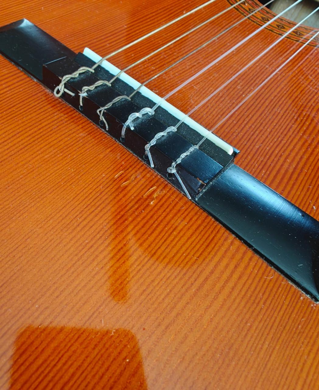 Gitaar admira paloma