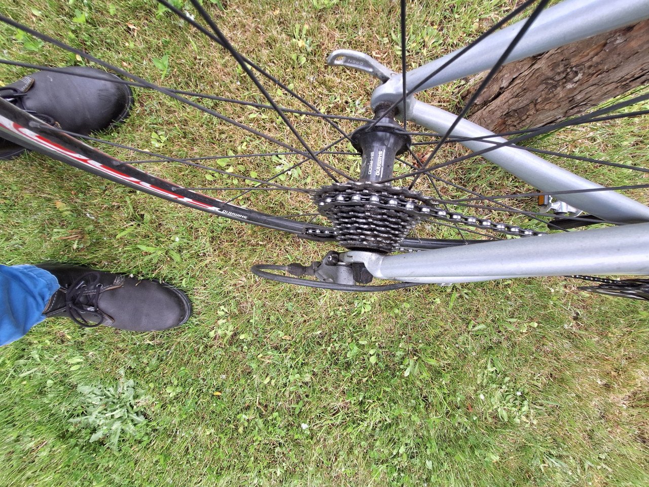 Damessportfiets Gazelle SPN 3