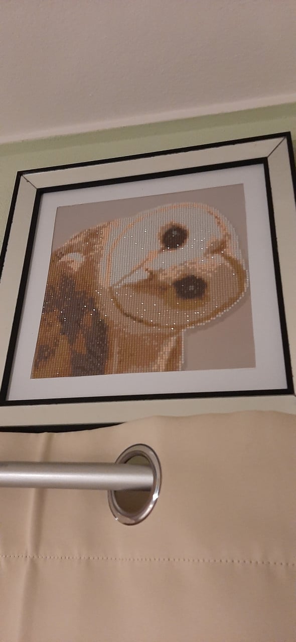 Lijst met diamond painting kerkuil