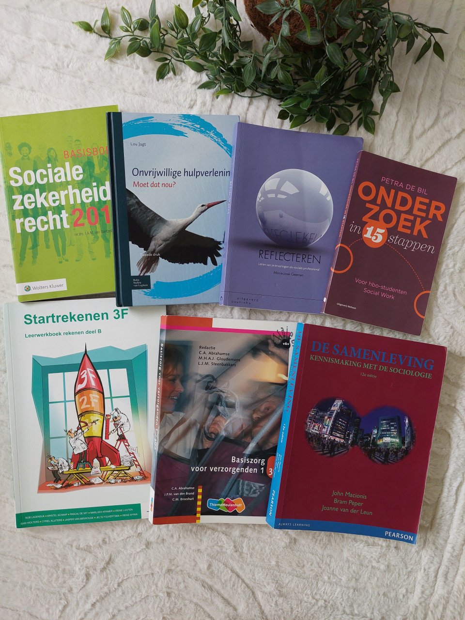Social Work boeke