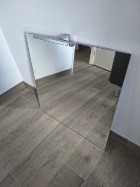 Badkamerspiegel