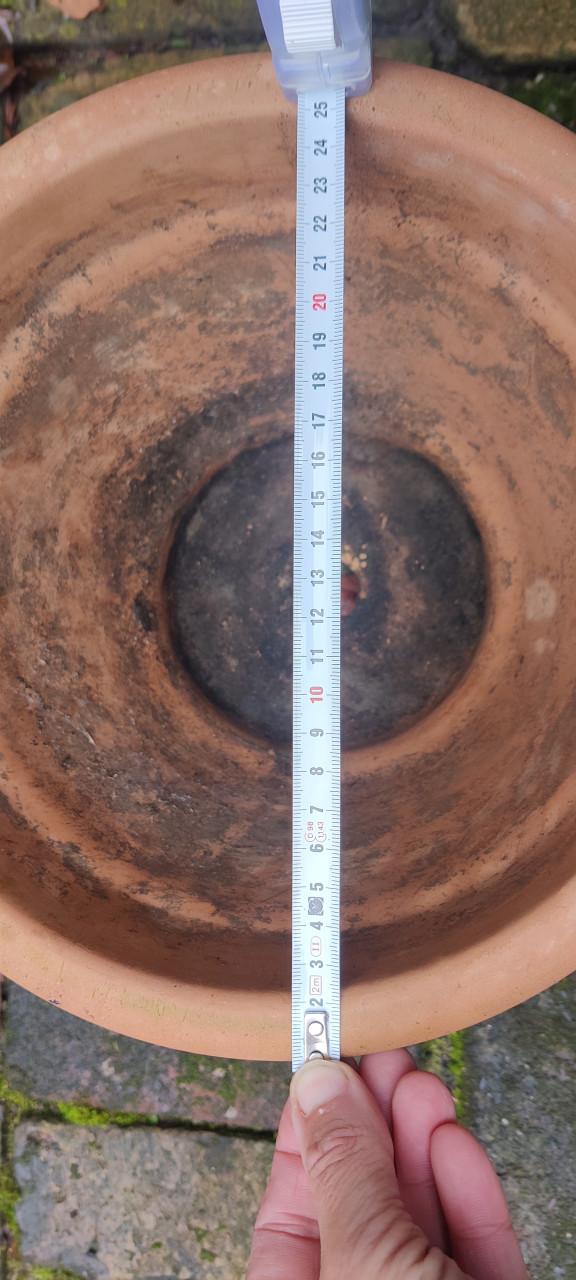 Bloempotten terracotta