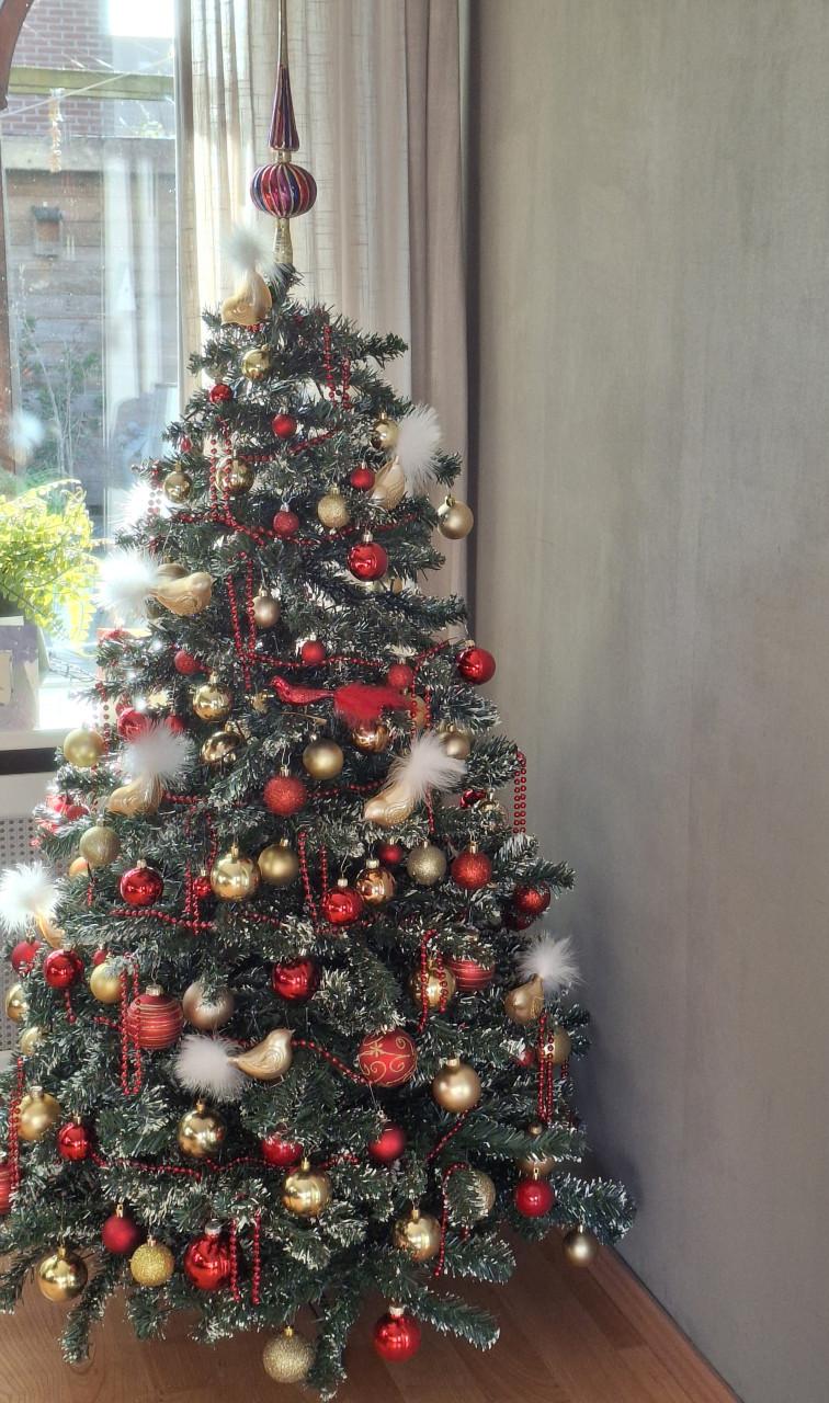 Kerstboom
