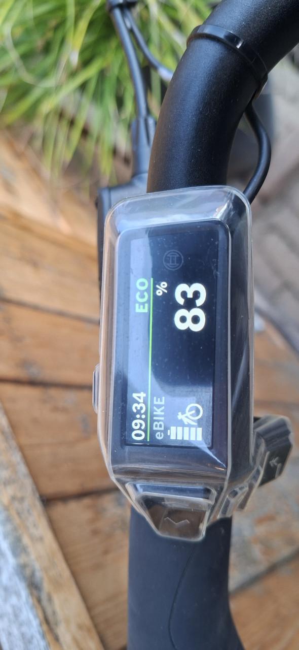 Te koop: Pegasus Siena E8F Belt 2025  slechts 305km gereden!