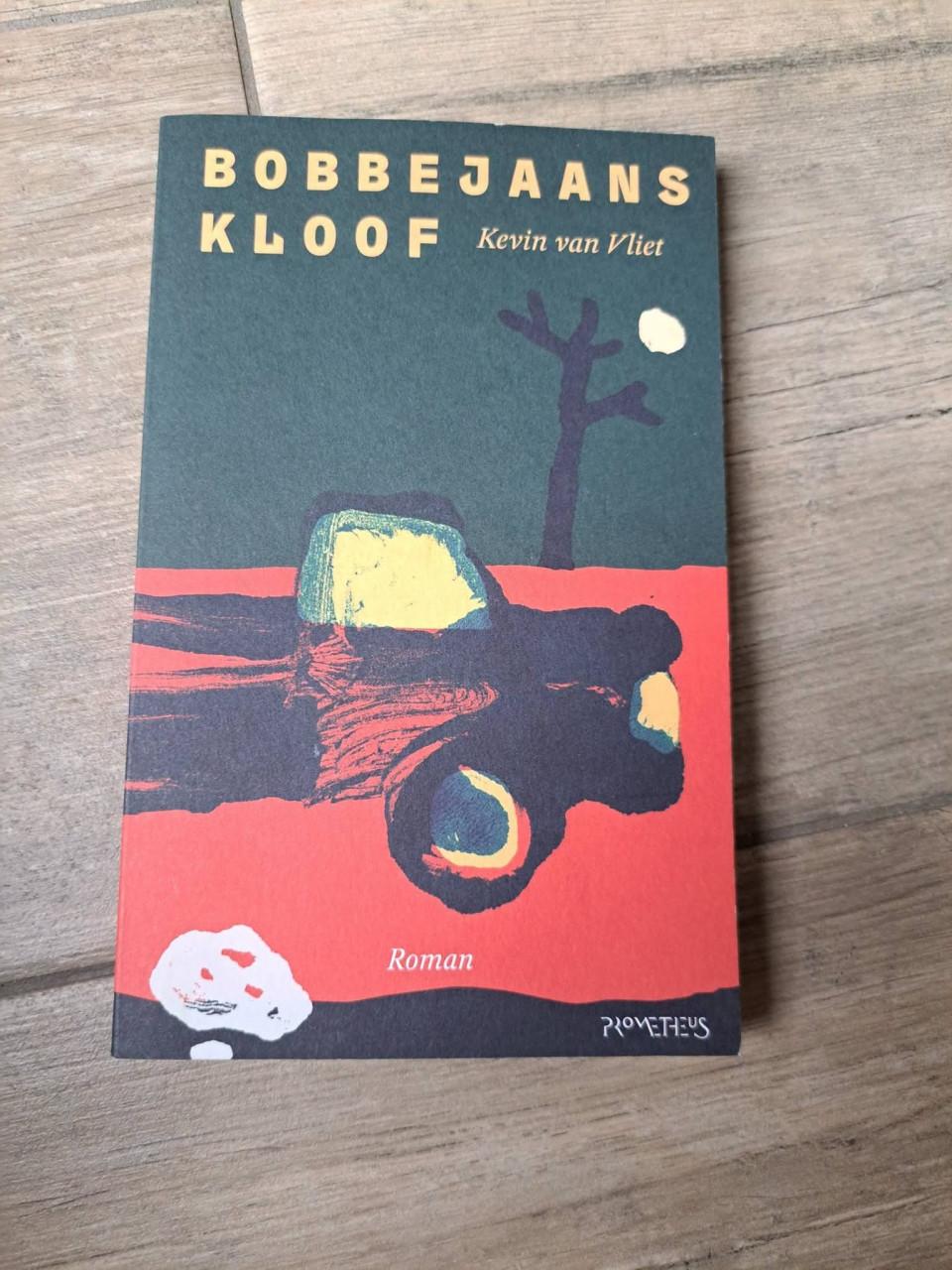 Roman Bobbejaanskloof van Kevin van Vliet 144 pagina's