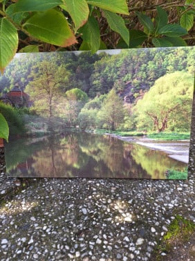 Decoratieve canvas