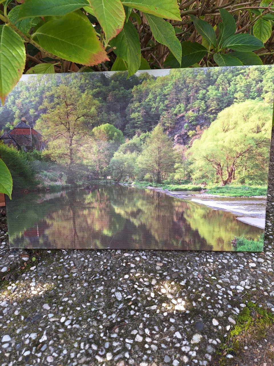 Decoratieve canvas