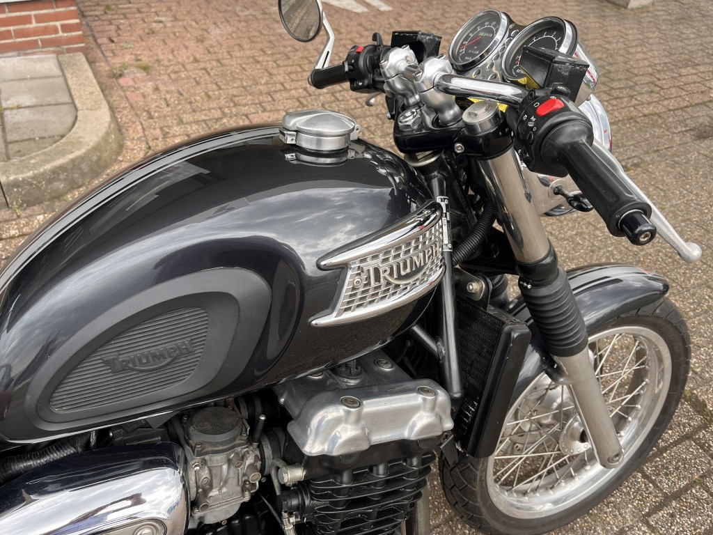 Triumph Thunderbird