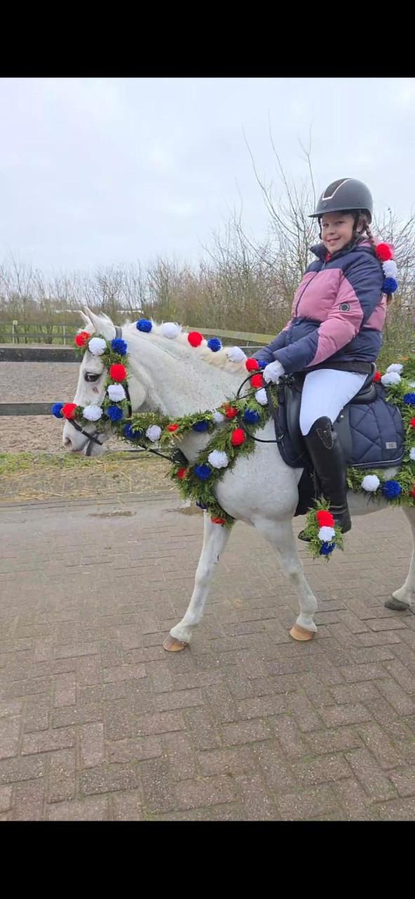 Brave allround kinderpony