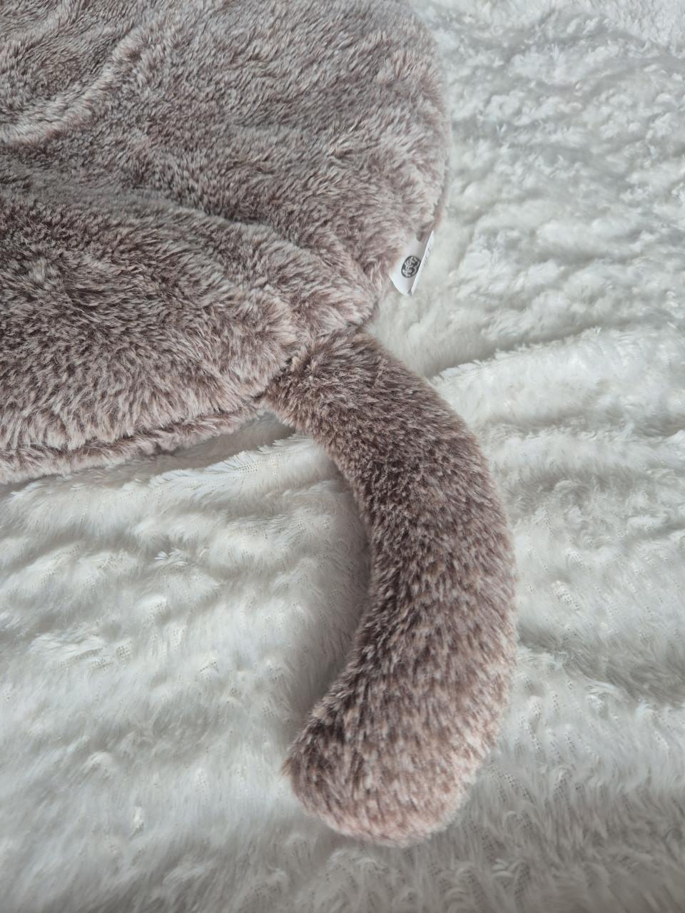 Kattenmand