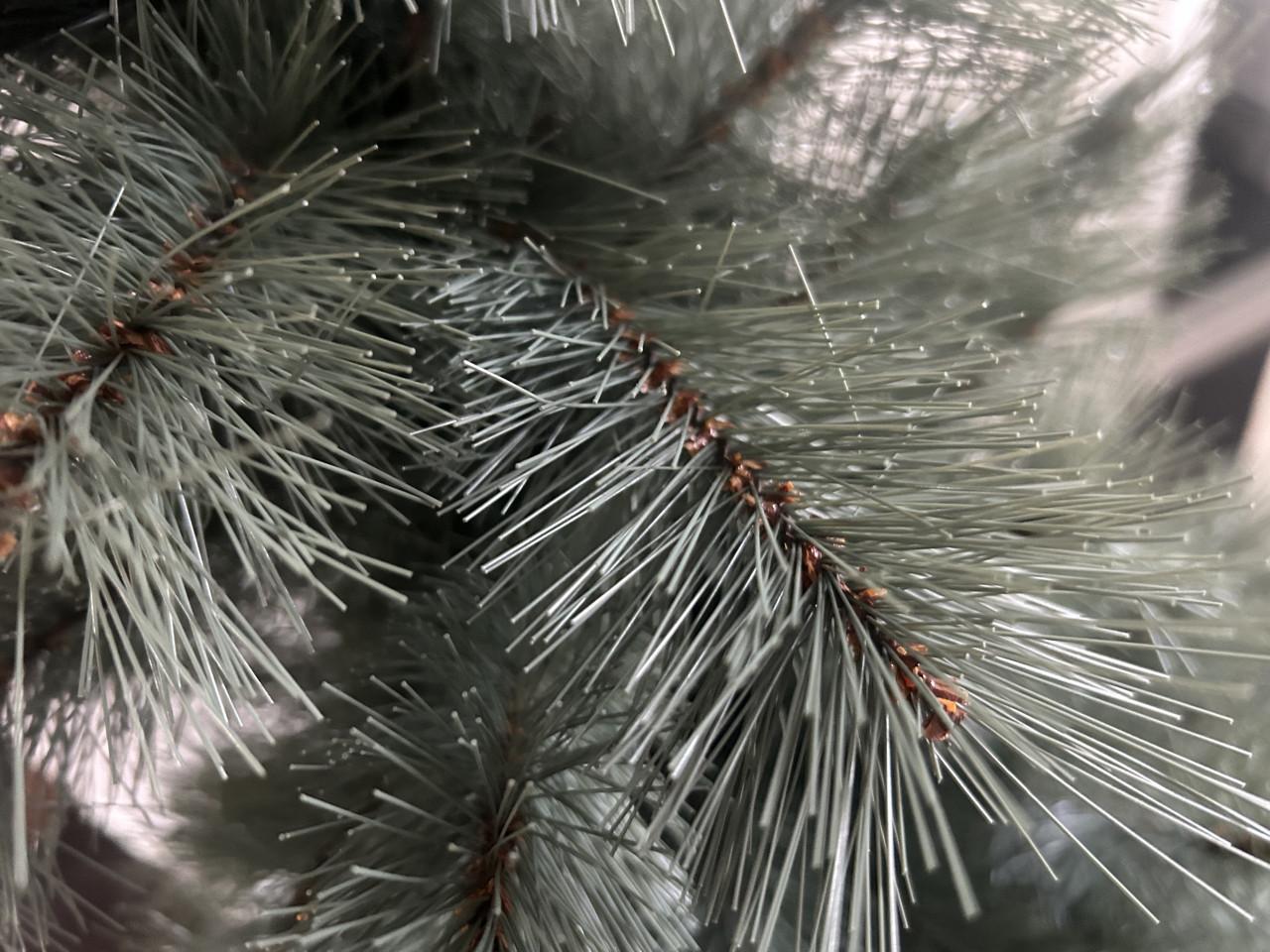 Kerstboom 1.50 hoog vrij smal
