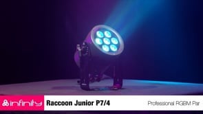 Infinity Raccoon LED lamp