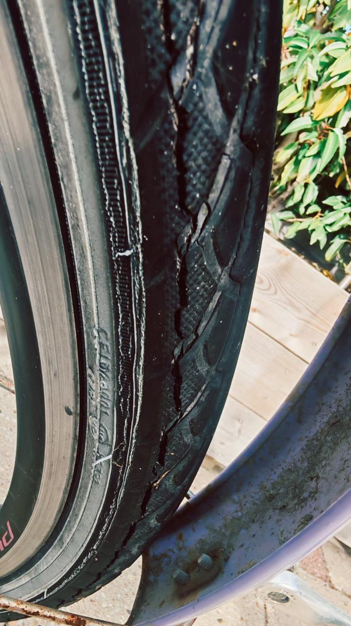 26 inch Fiets Meisjesfiets Alpina 3vers.