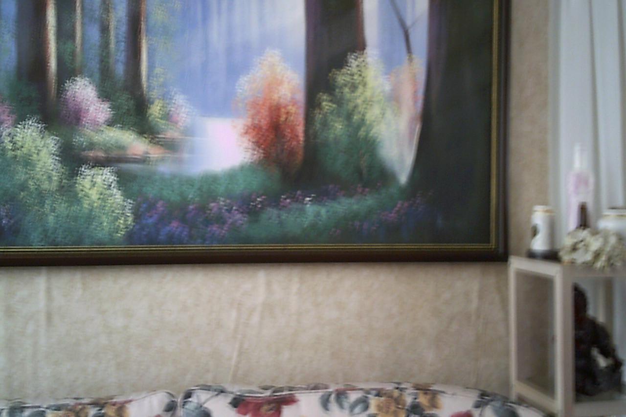 SCHILDERIJ - - - boszicht - - -