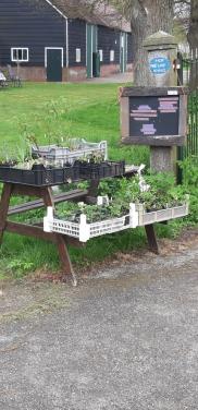 Plantjes in verkoop stalletje aan de weg.
