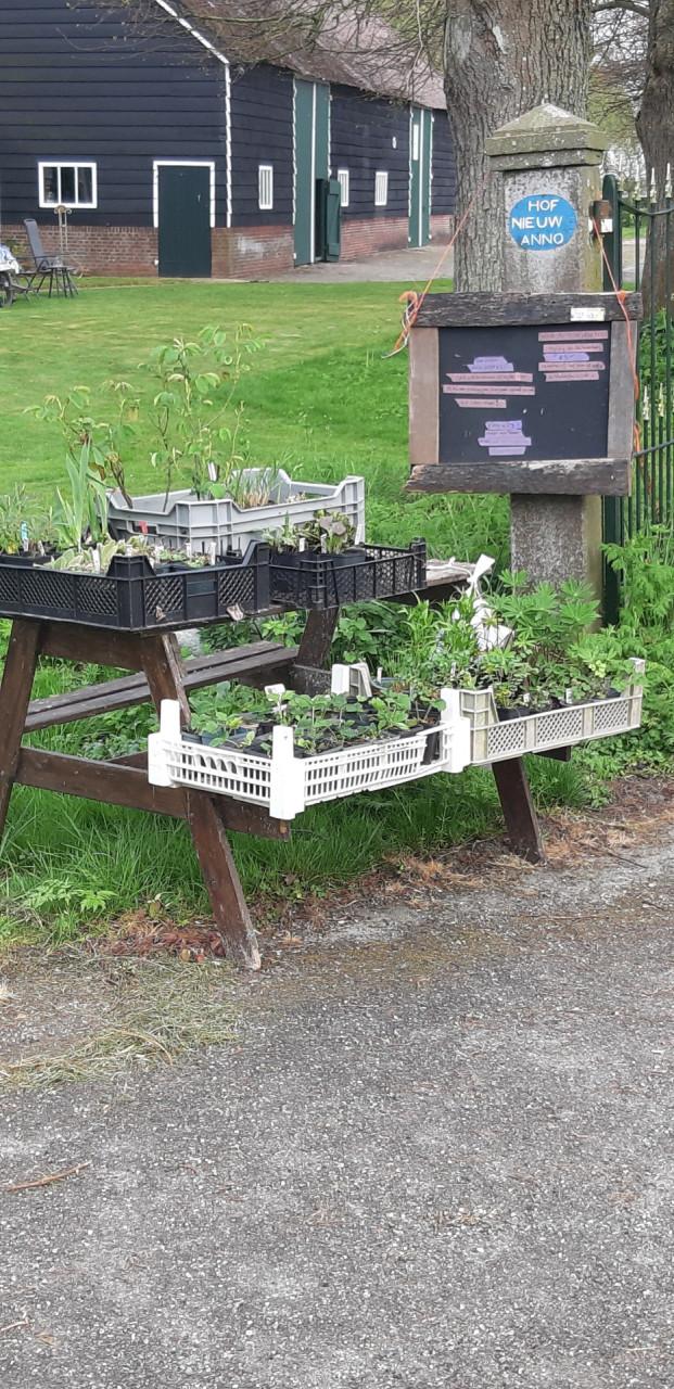 Plantjes in verkoop stalletje aan de weg.