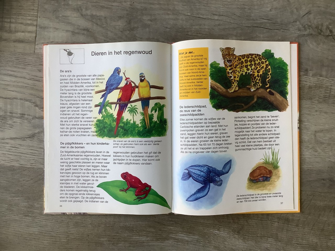 Boek, de grote dierenatlas voor kinderen
