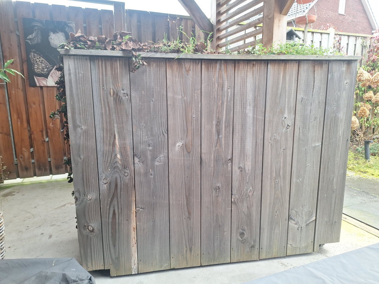 Tuin