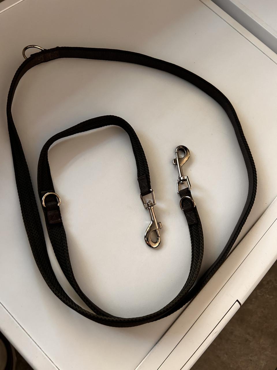 Riem hond Hunter