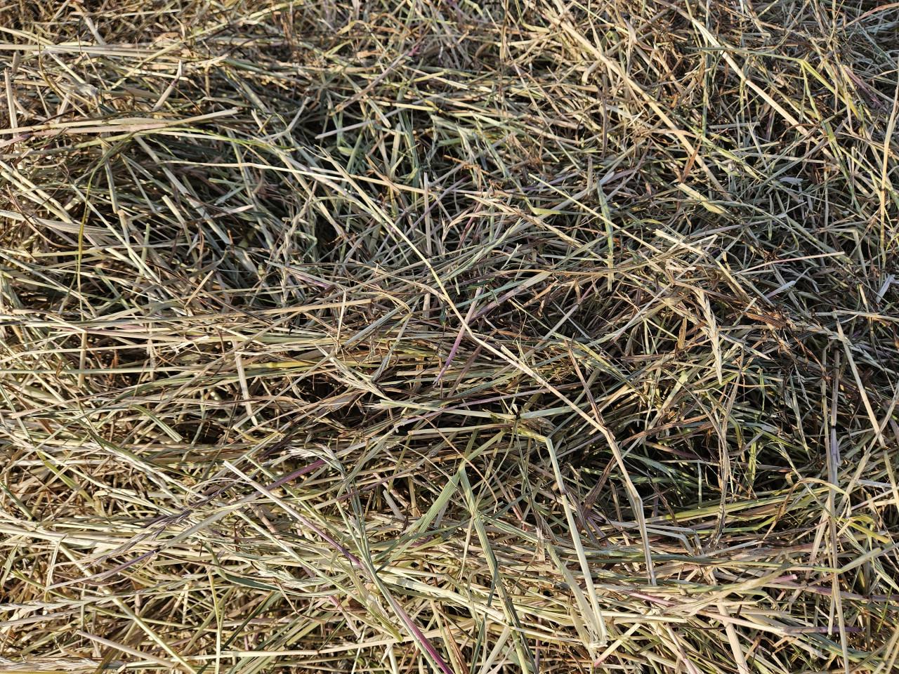Kleine en grote pakken weidehooi