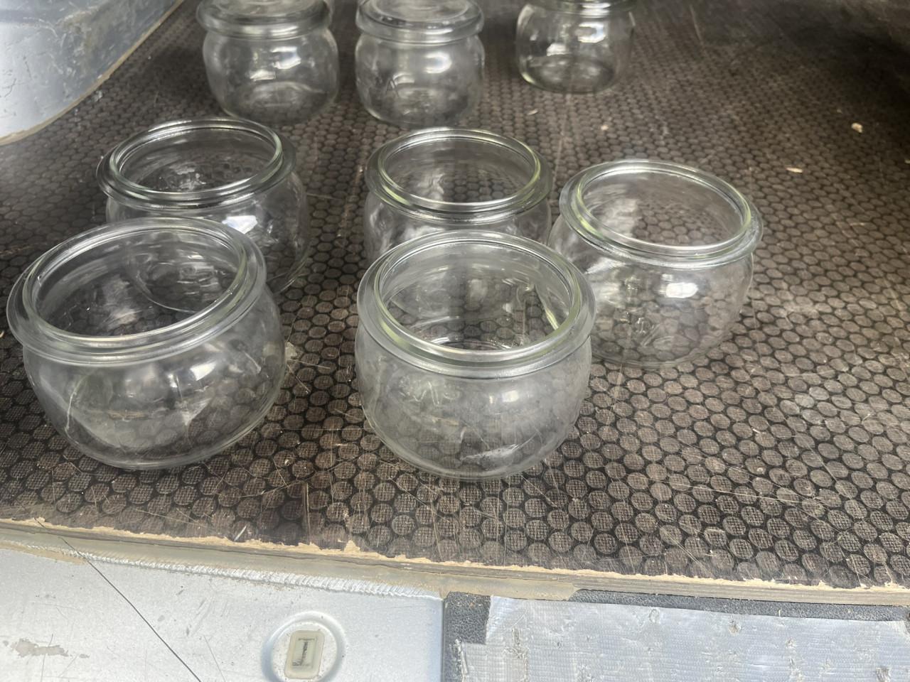 Weckpotten met deksel VEGLA