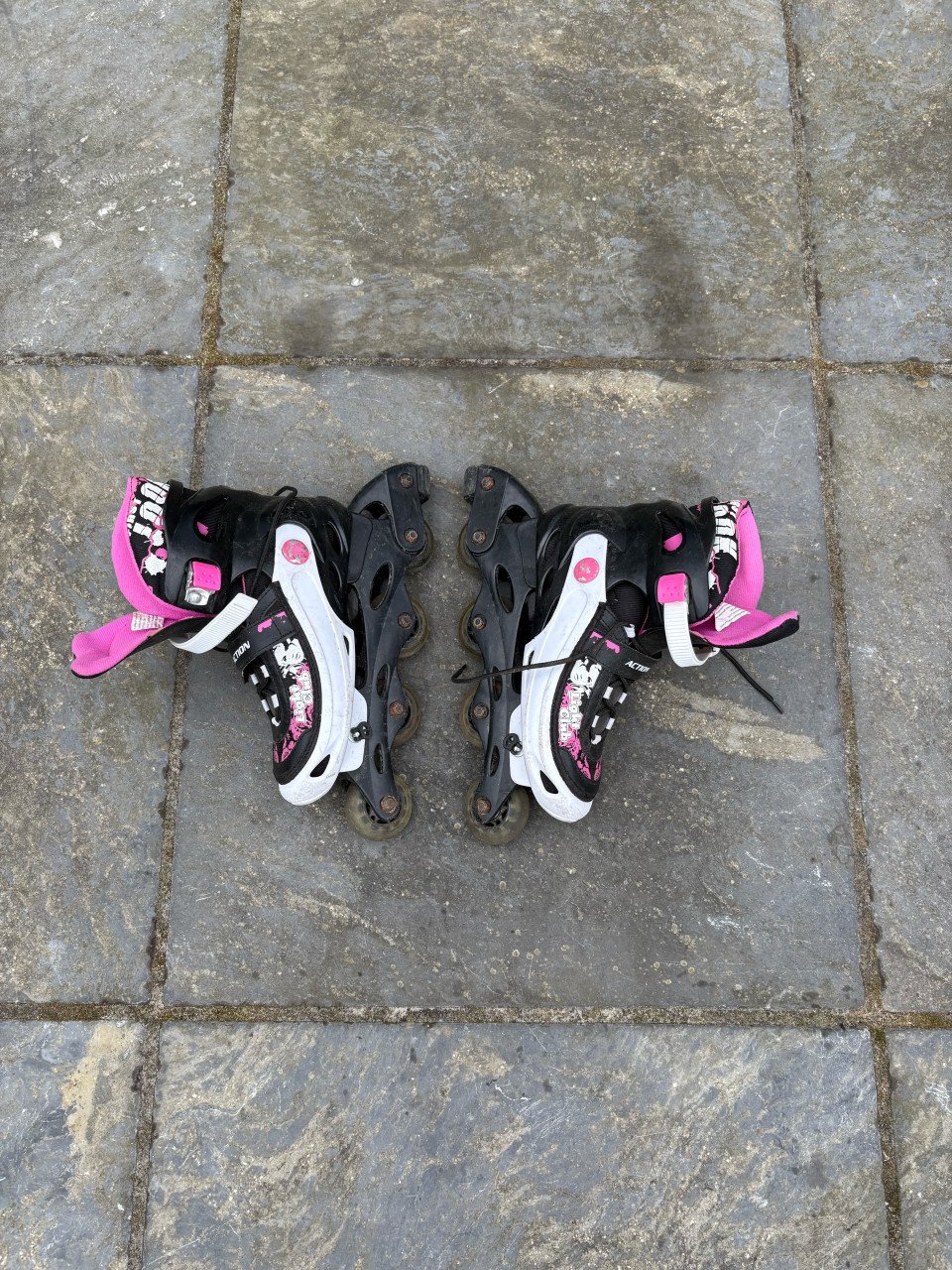 Skeelers