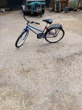 Kinder fiets