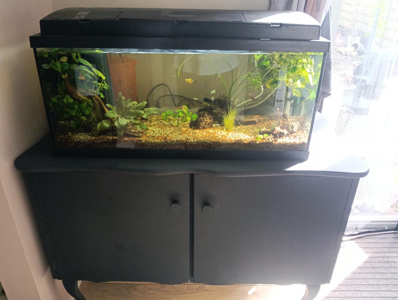 Aquarium