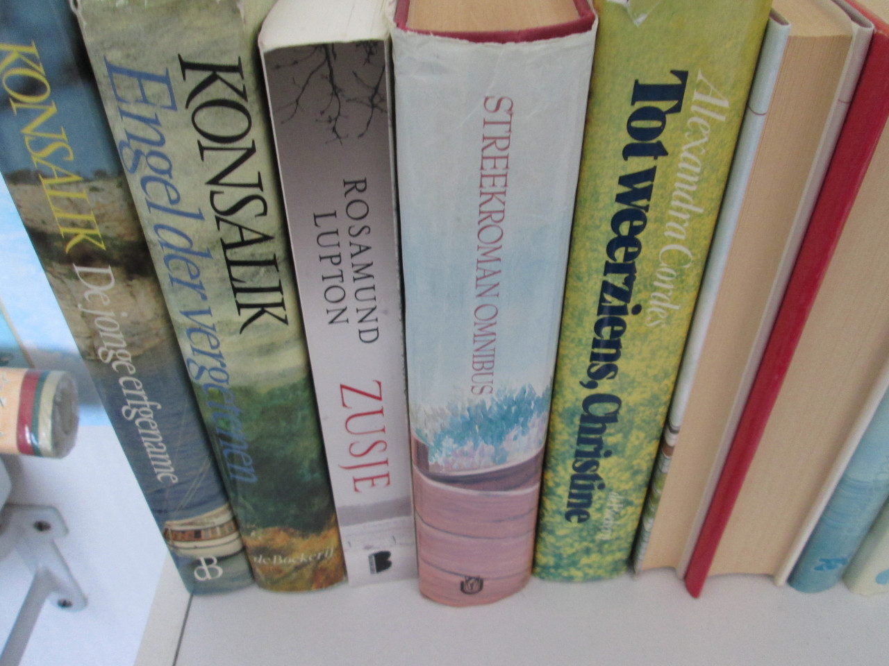 6 grote dozen STREEKROMANS