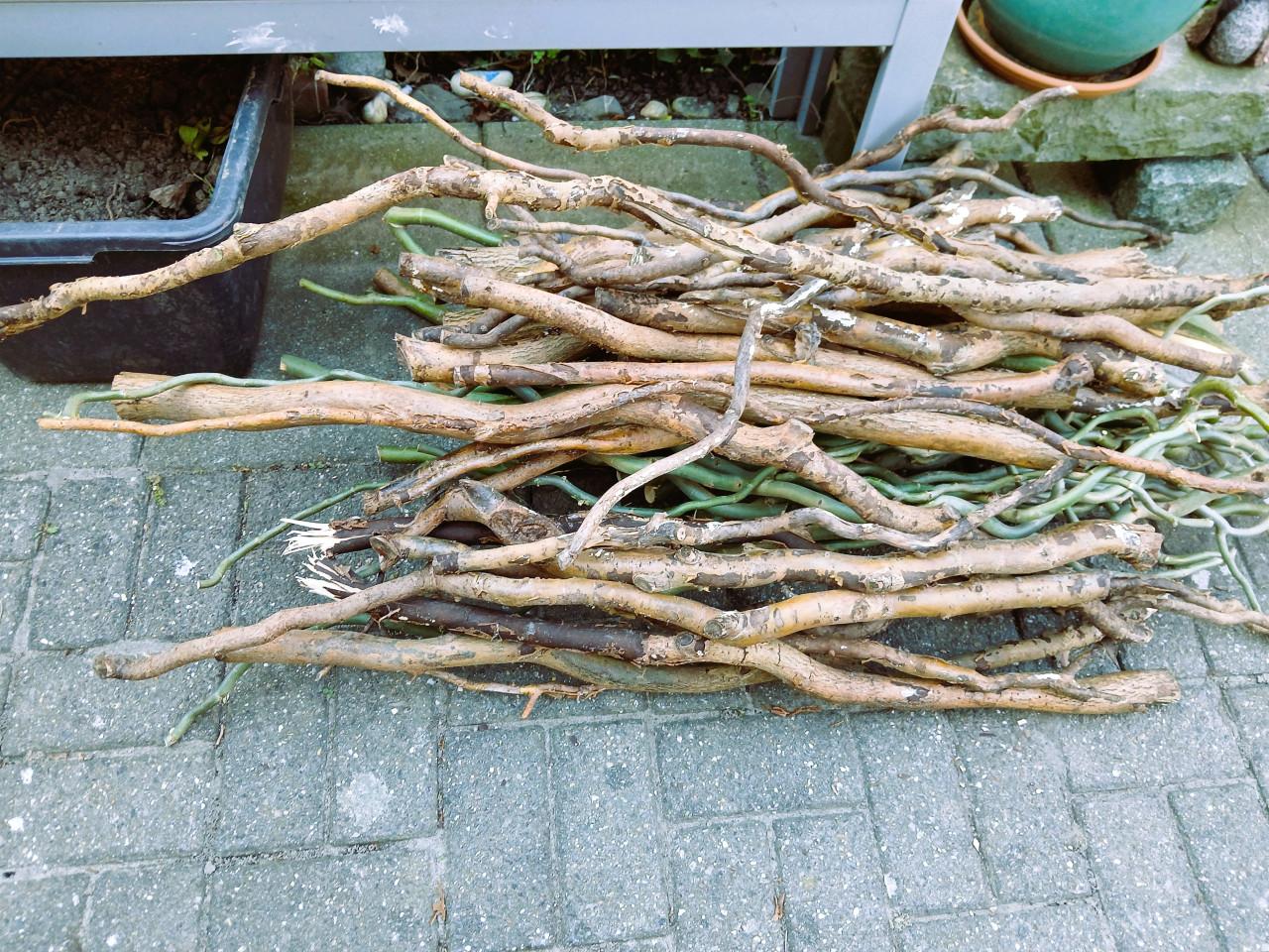 GRATIS bundel haardhout