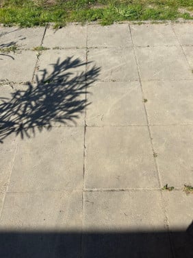 Gratis af te halen 280 betontegels 50 x 50 x 5 cm.