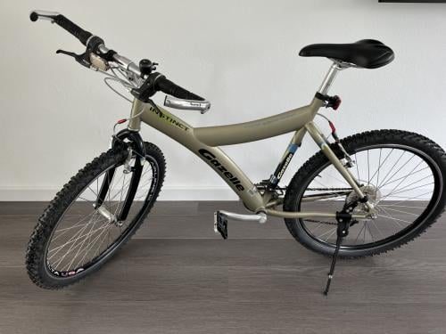 Mountainbike Gazelle
