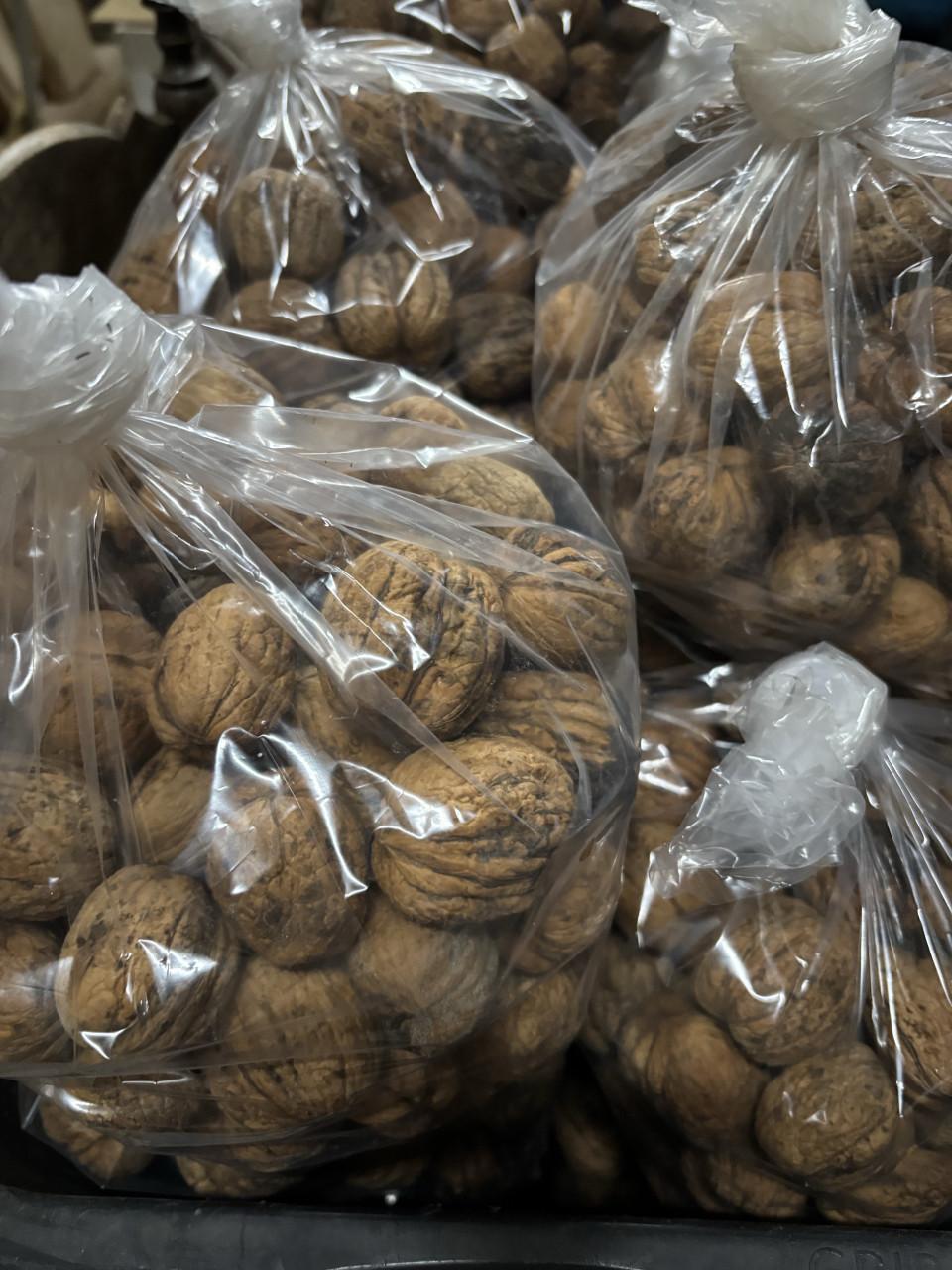 GROTE GEDROOGDE WALNOTEN TE KOOP!