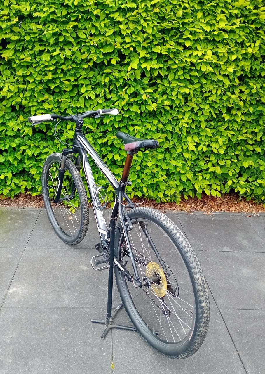 Mountainbike specialized