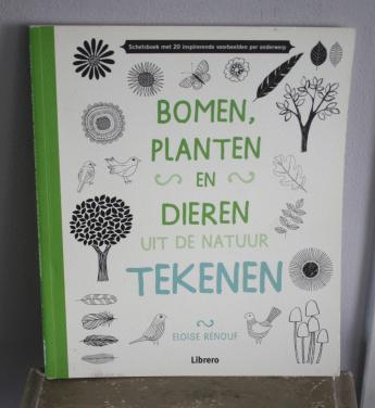 Vlinders vogels e alles wat vliegt tekenen