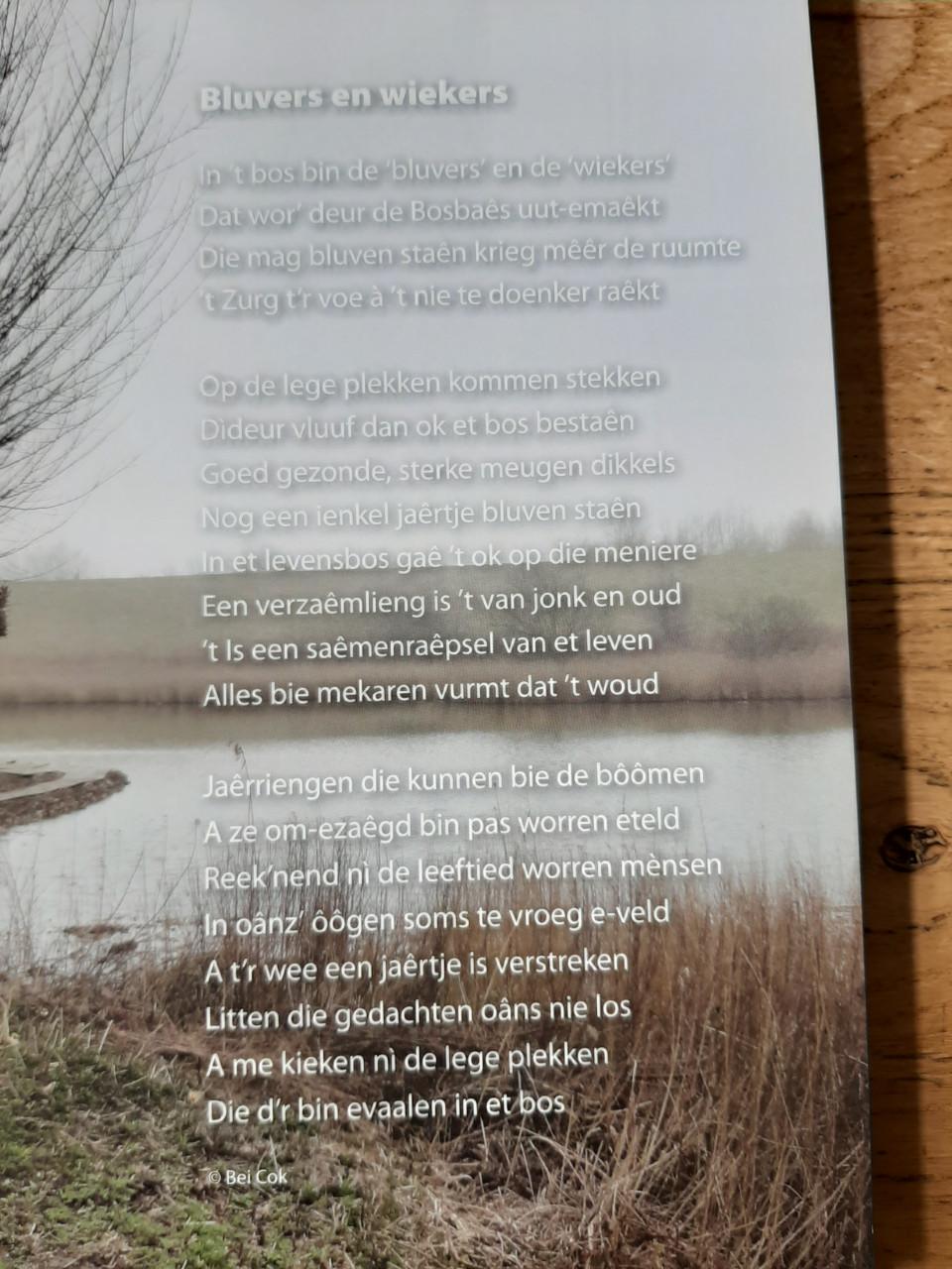 Kwiek & Wies, 80plus in Zeeland, door Ellen De Vriend-de Jong