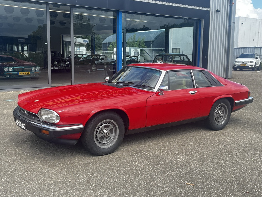 Jaguar Xj xjs 5.3 v12 coupé