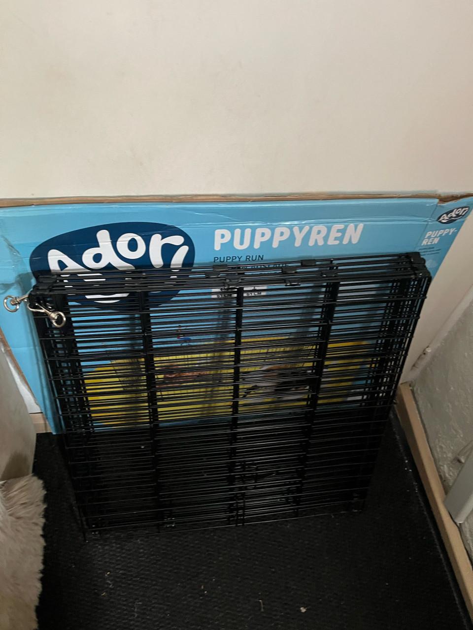 Puppy ren
