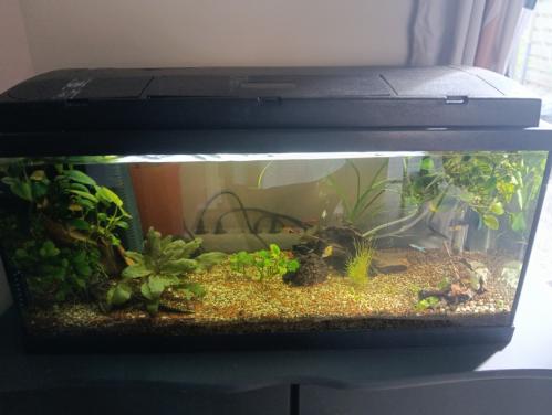 Aquarium