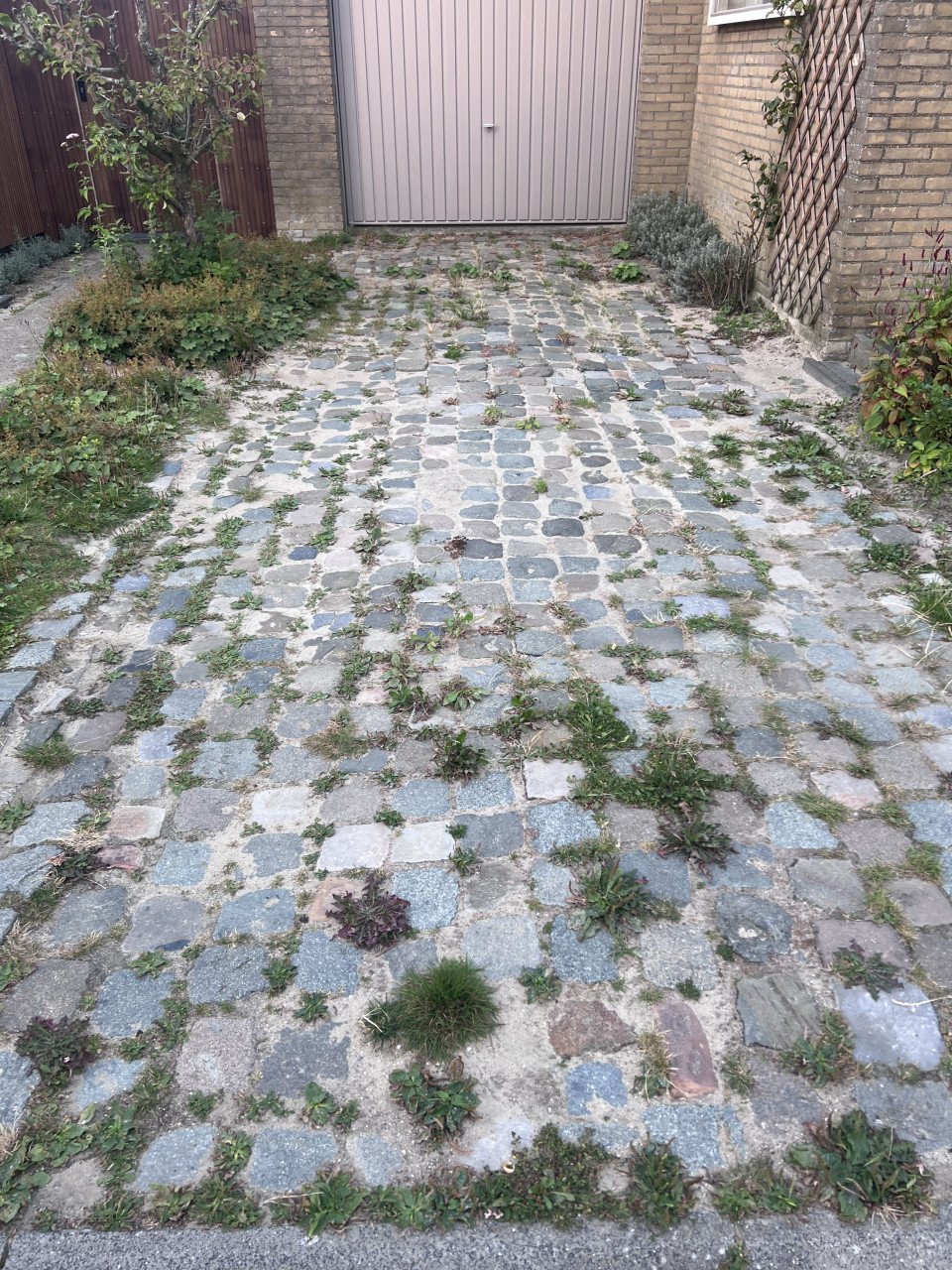 Kinderkoppen (ongeveer 20m2)